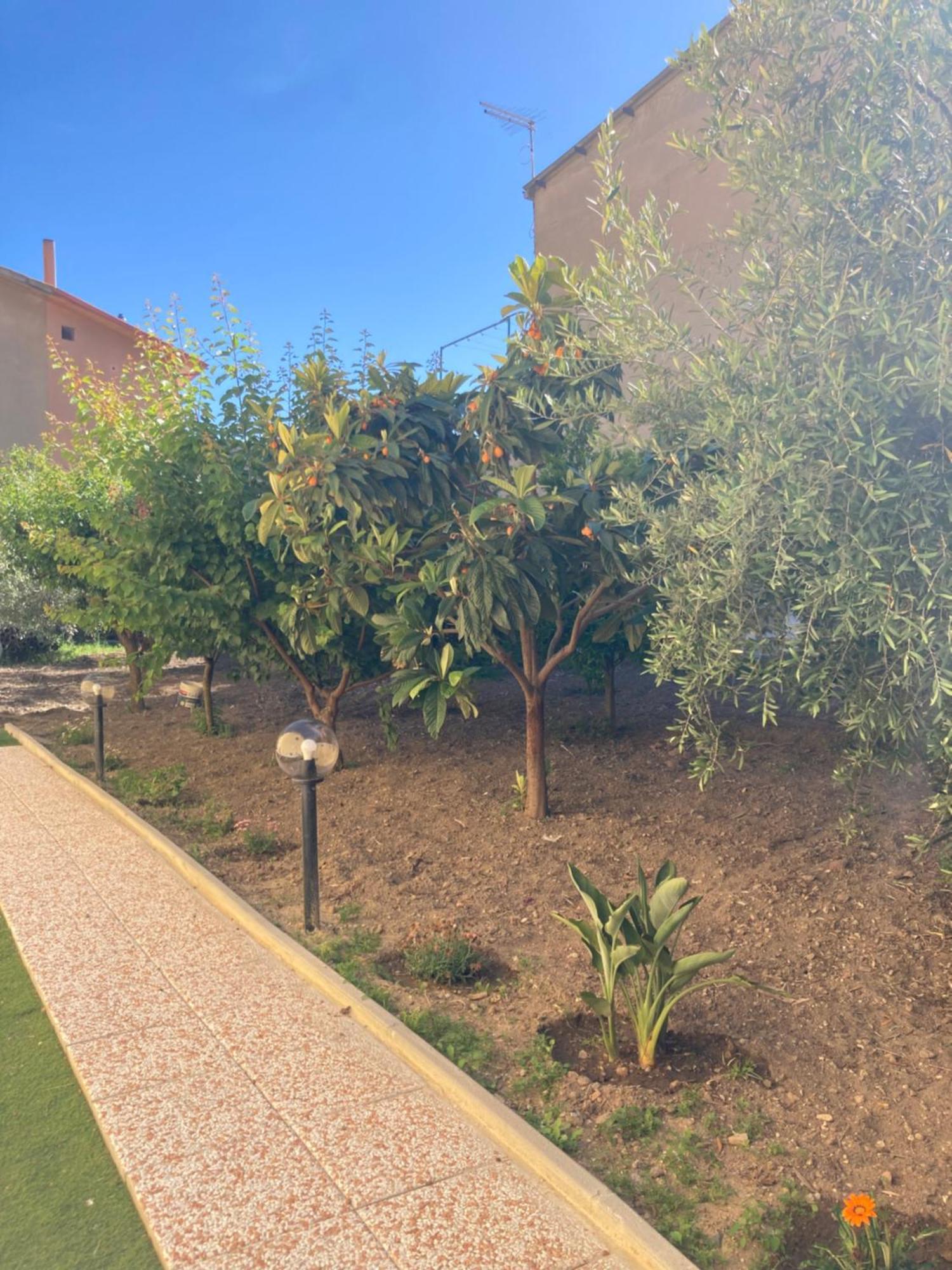 Casa Vacanze Il Giardino Villamassargia Exterior photo